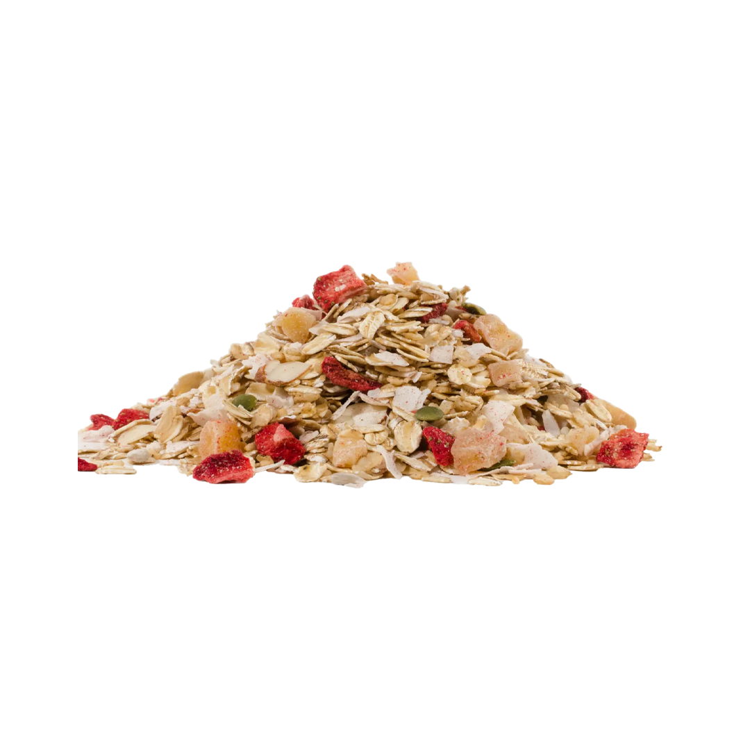 Bob's Red Mill Gluten Free Muesli Mango and Coconut (Hot & Cold Cereal) 397g