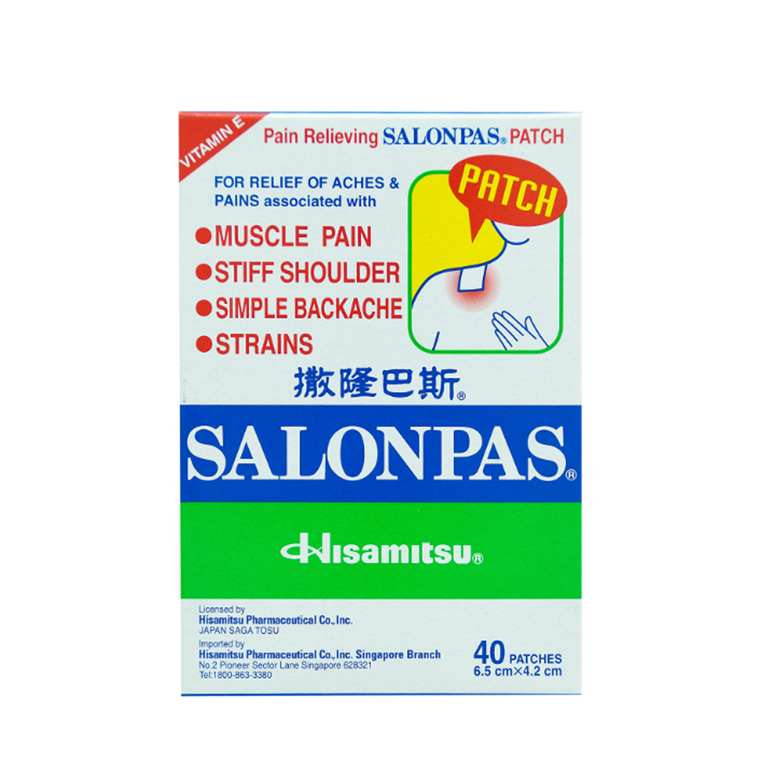 Hisamitsu Medicated Plaster 40's