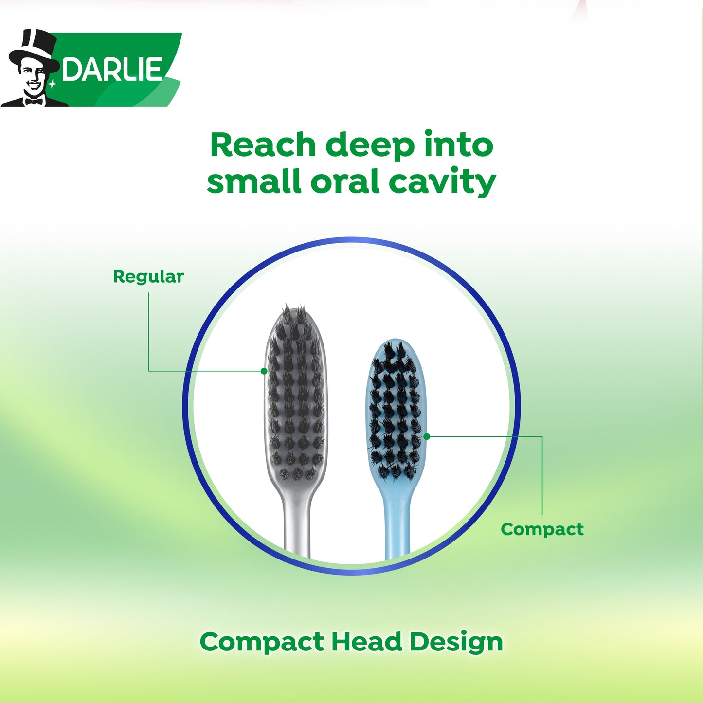 Darlie Charcoal Clean (Regular Head) Soft Bristles Toothbrush Value Pack 5s