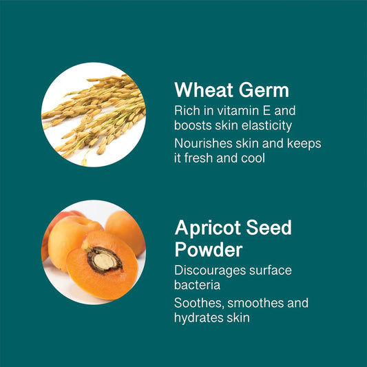 Himalaya Wellness Gentle Exfoliating Apricot Scrub 150ml Himalaya Wellness Gentle Exfoliating Apricot Scrub 150ml