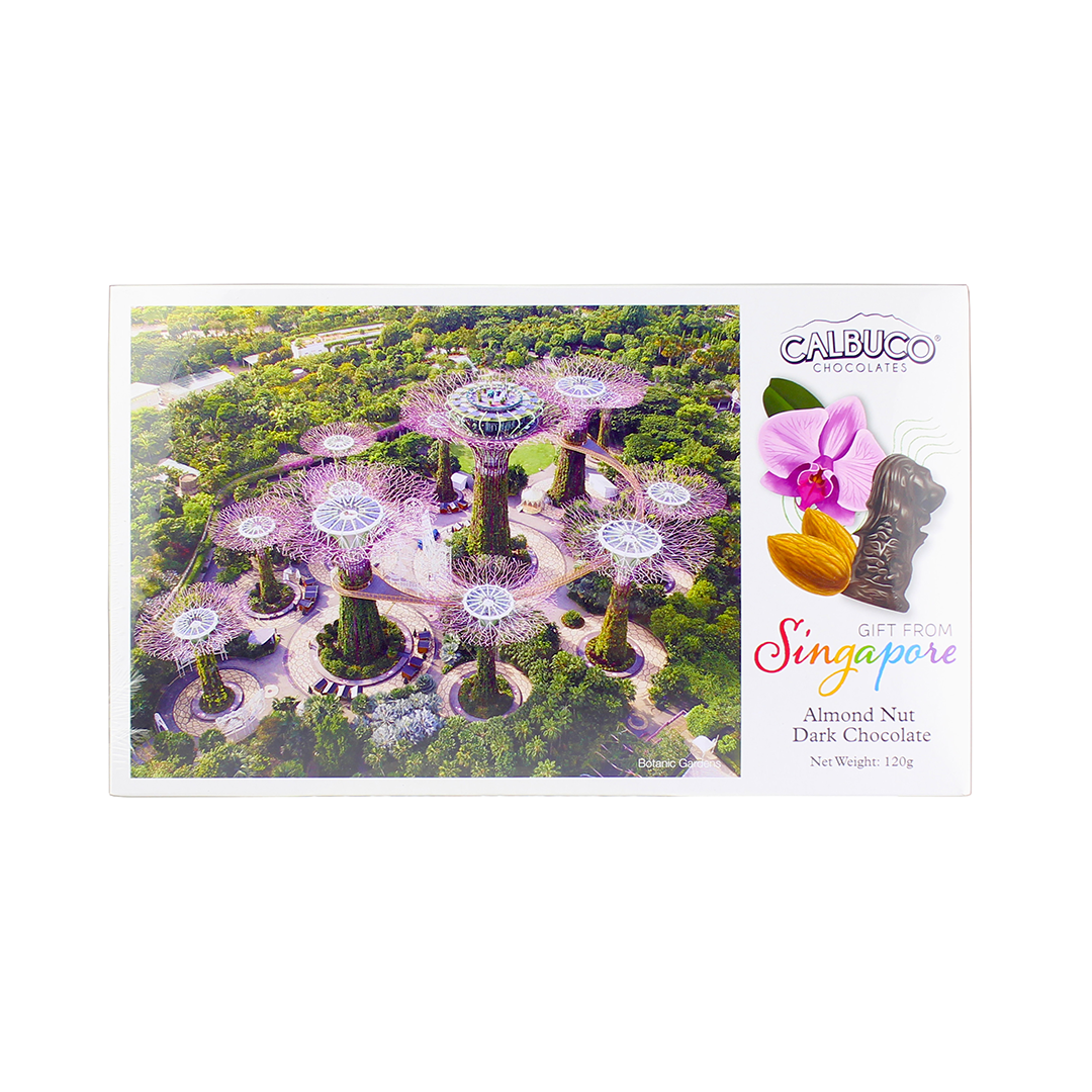 Calbuco Dark Chocolate Almond Nut Merlion 120g