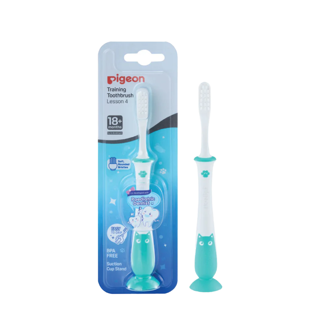 Pigeon Training Toothbrush Lesson 4 Mint