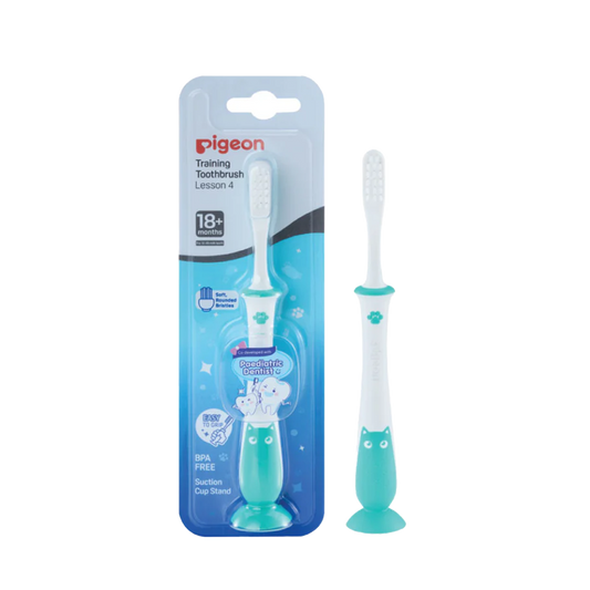 Pigeon Training Toothbrush Lesson 4 Mint
