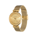 Olivia Burton Minima Bee 36mm T-Bar Gold Mesh Watch