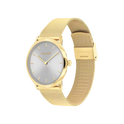 Calvin Klein Exceptional Unisex Grey Dial & Gold Mesh Strap Watch 38mm