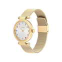 Coach Cary Women's Watch Gift Set White Dial & Gold Mesh Strap Watch 34mm with Gold Bracelet