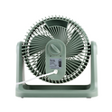Iona 9" Floor Circulator Green (GLT920)