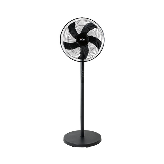 Iona 16" Stand / Tatami Fan Black (GLSF169)