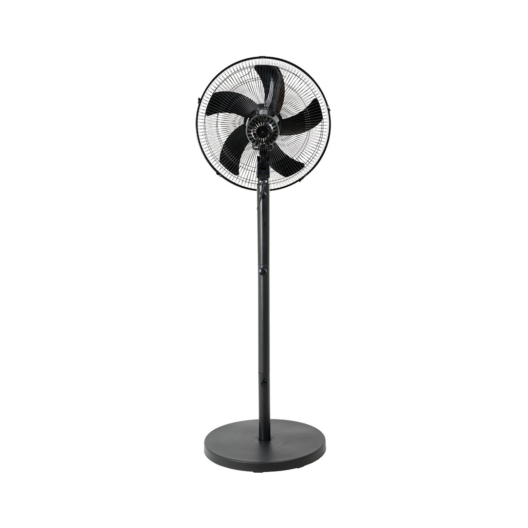 Iona 16" Stand / Tatami Fan Black (GLSF169)
