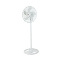 Iona 16" Stand / Tatami Fan White (GLSF169)