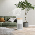 Toyomi HaloGuard Air Purifier AP 7300IT