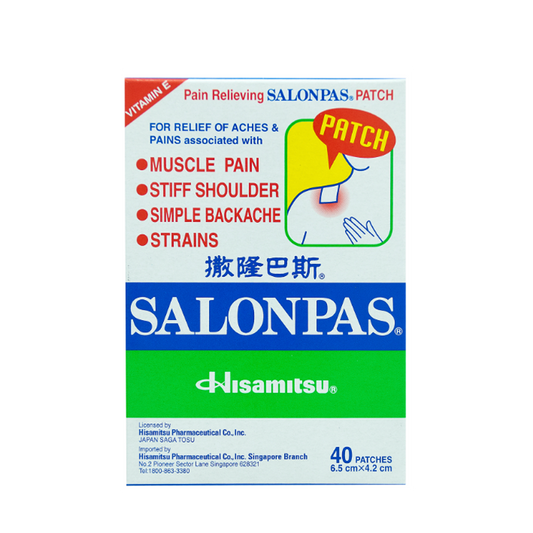 Hisamitsu Medicated Plaster 40's