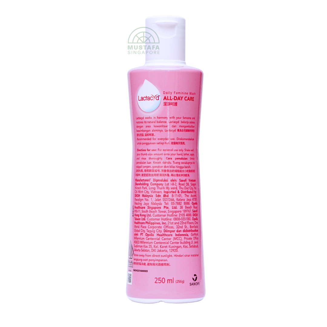 Lactacyd All-Day Care Wash 250ml