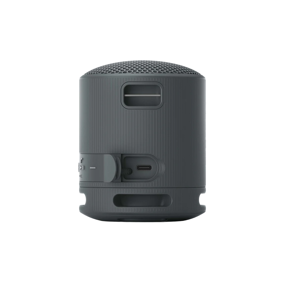 Sony Wireless Speaker Black XB100