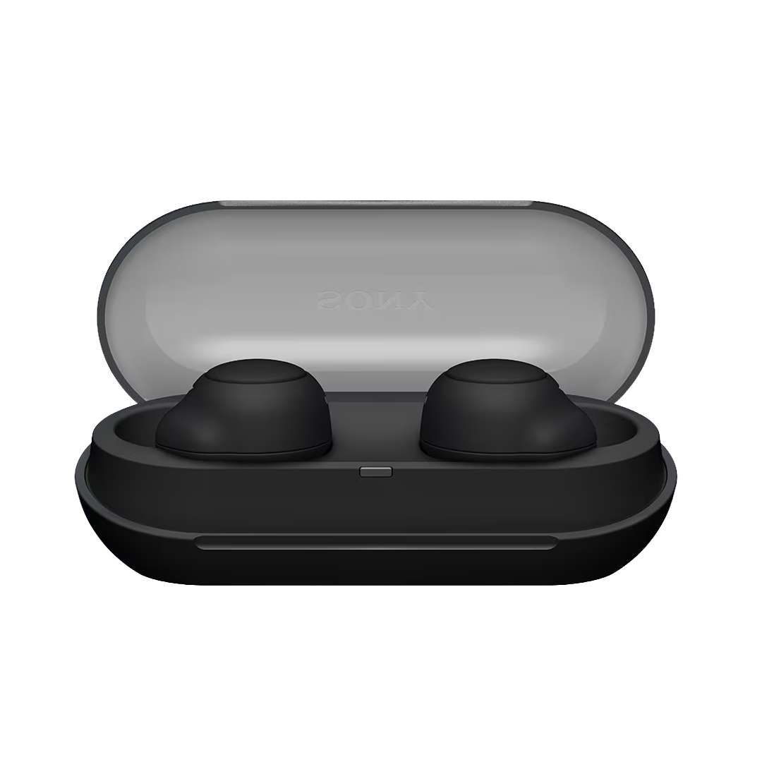 Sony Wireless Earbuds WF-C500