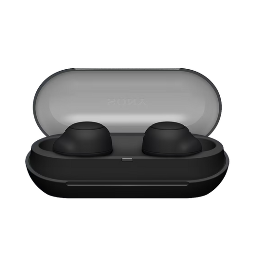 Sony Wireless Earbuds WF-C500
