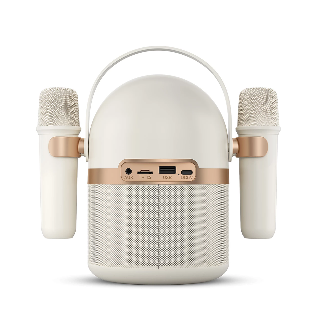 Phillips Wireless Speaker TAS2509WT