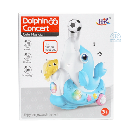 Dolphin Concert Cute Musician