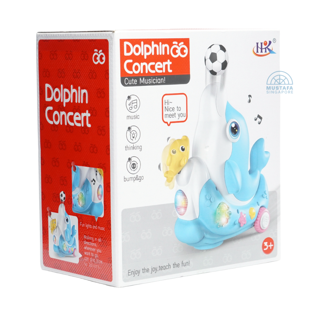 Dolphin Concert Cute Musician