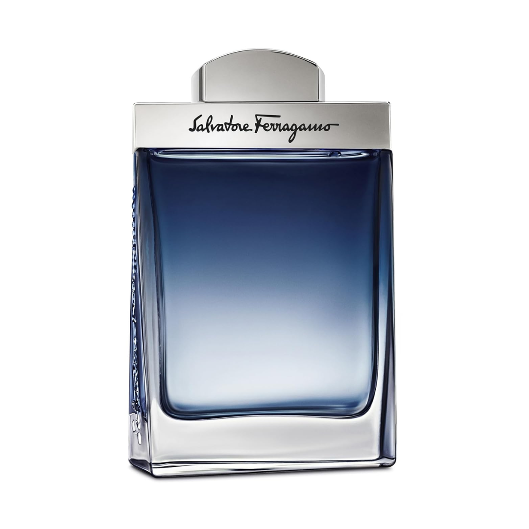 Salvatore Ferragamo Subtil Pour Homme EDT 100ml