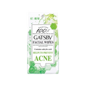 Gatsby Facial Wipes Acne Care Type 42s