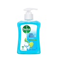 Dettol Hand Wash Cool 250ml