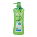 Ginvera Green Tea Pomelo Shampoo Hair Revitalizer (For Normal Hair) 750ml