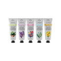 Ekel Perfume Hand Cream Set 50ml x 5s
