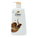 Dove Shampoo Nourishing Oil Care 680ml