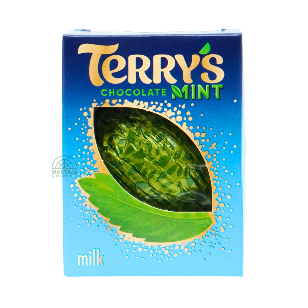 Terry's Chocolate Mint Flavour Milk Chocolate 145g
