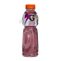 Gatorade Quiet Storm 515ml