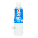 100 Plus Active with Vitamin B Non-Carbonated Isotonic Drink 500ml