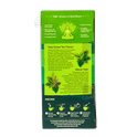 Organic India Tulsi Green Tea Classic 43.50g 25 Infusion Bags
