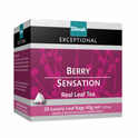 Dilmah String & Tag Berry Sensation Tea 2g x 20 bags